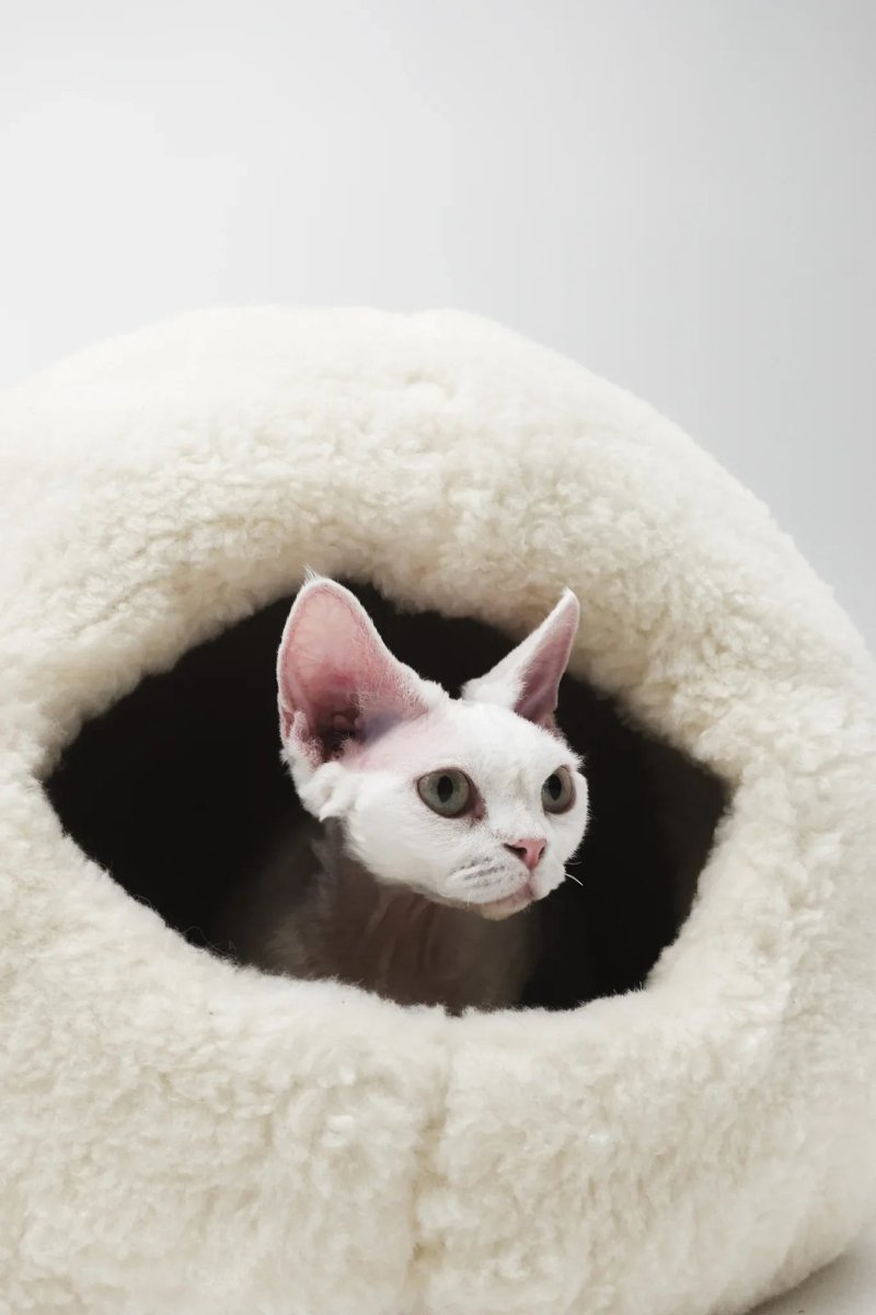all dogs products all cats products all small animal products