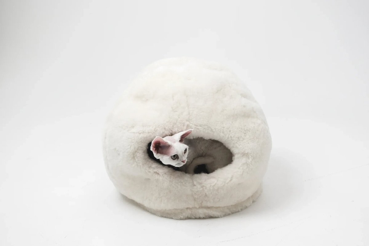 all dogs products all cats products all small animal products