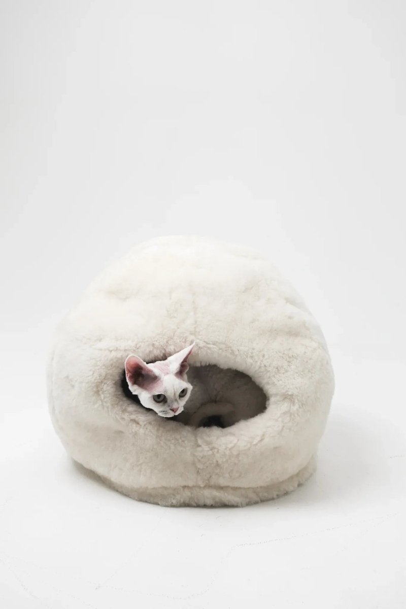 all dogs products all cats products all small animal products