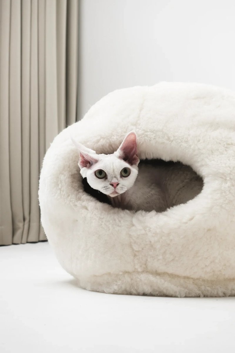 all dogs products all cats products all small animal products
