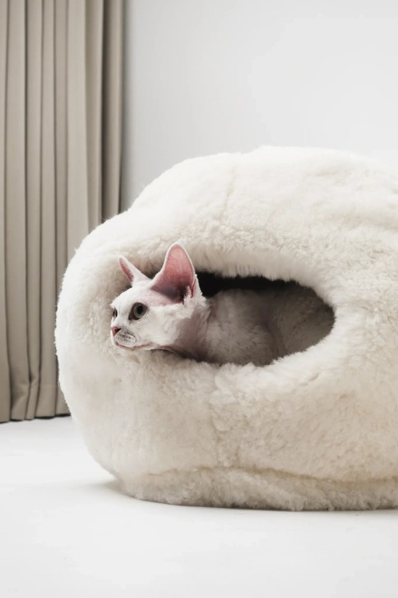 all dogs products all cats products all small animal products
