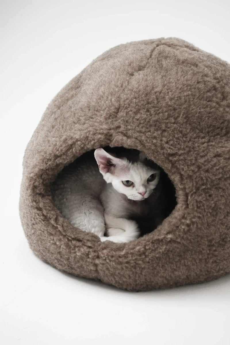 all dogs products all cats products all small animal products