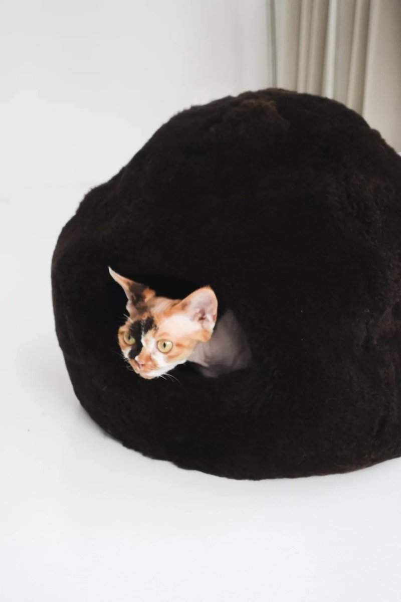 all dogs products all cats products all small animal products