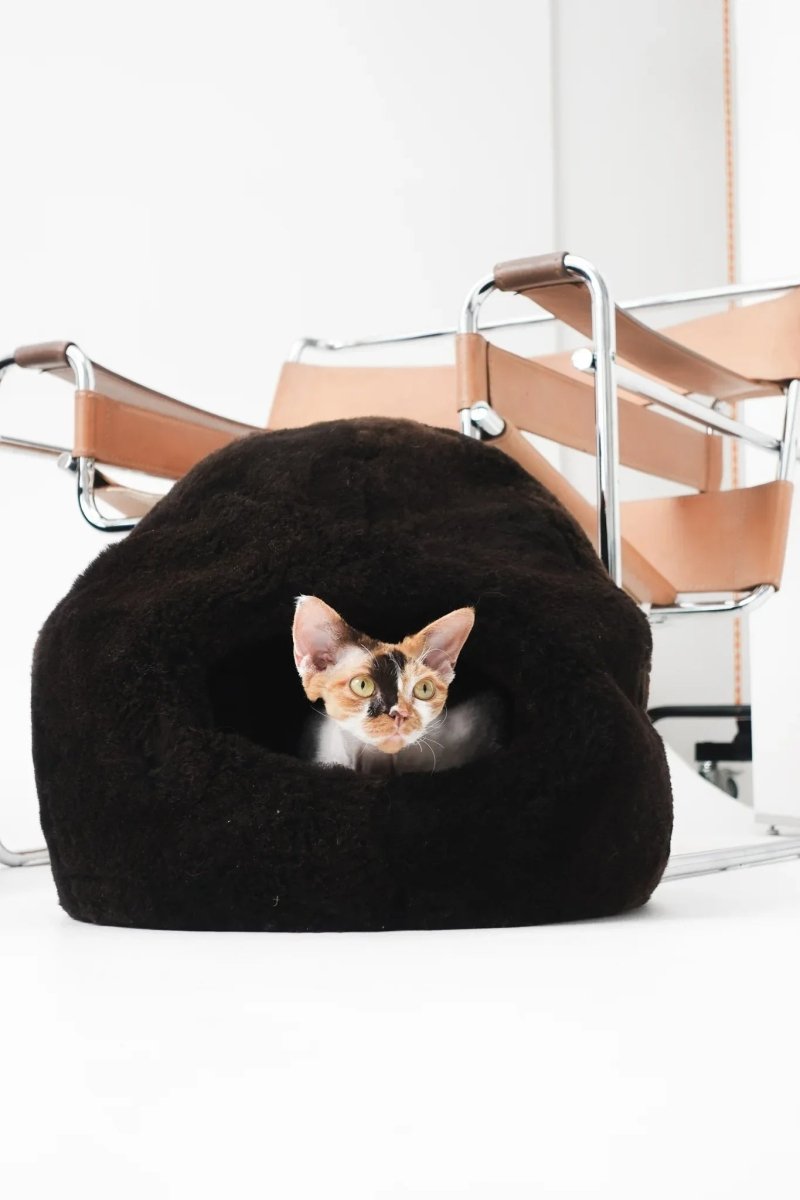all dogs products all cats products all small animal products