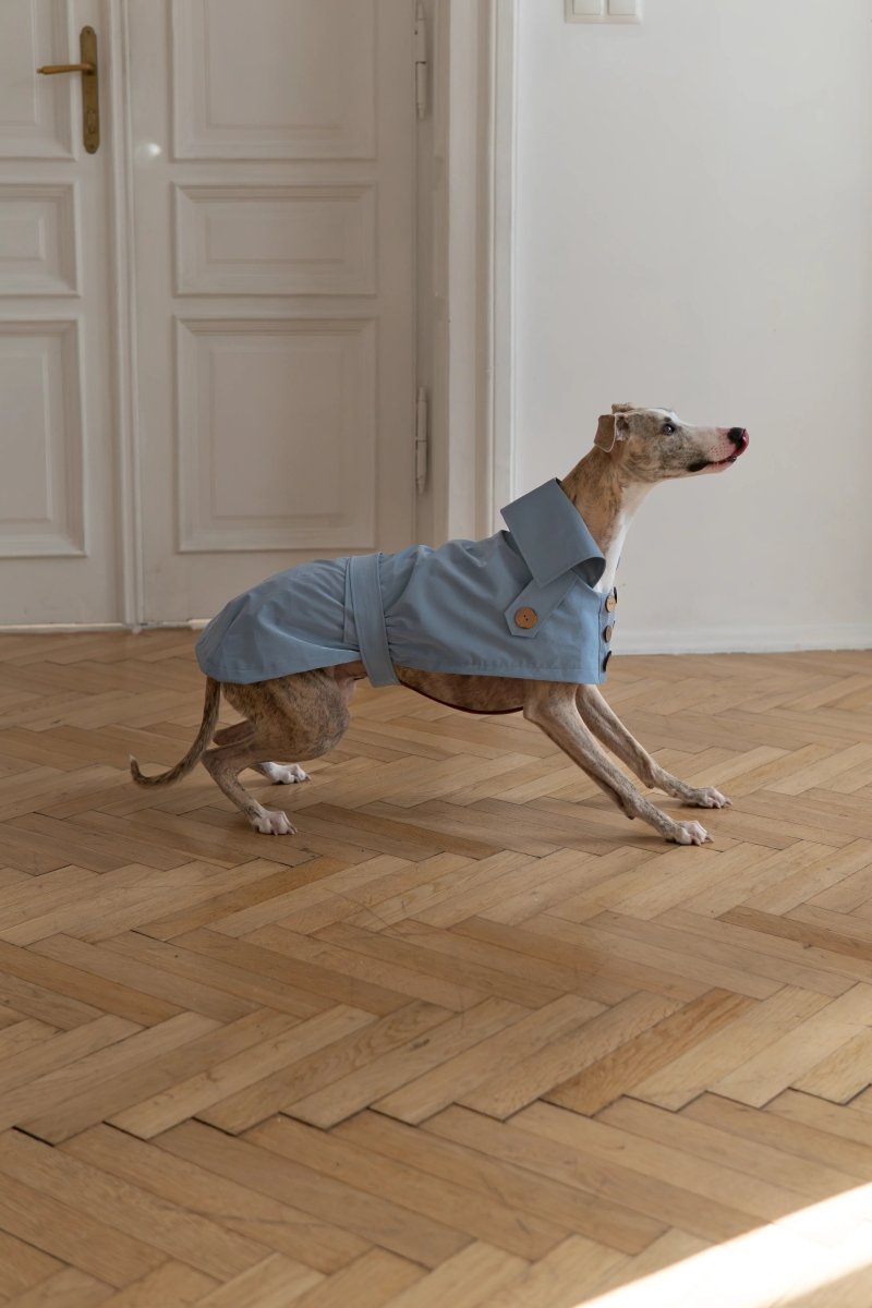 all dogs products all cats products all small animal products