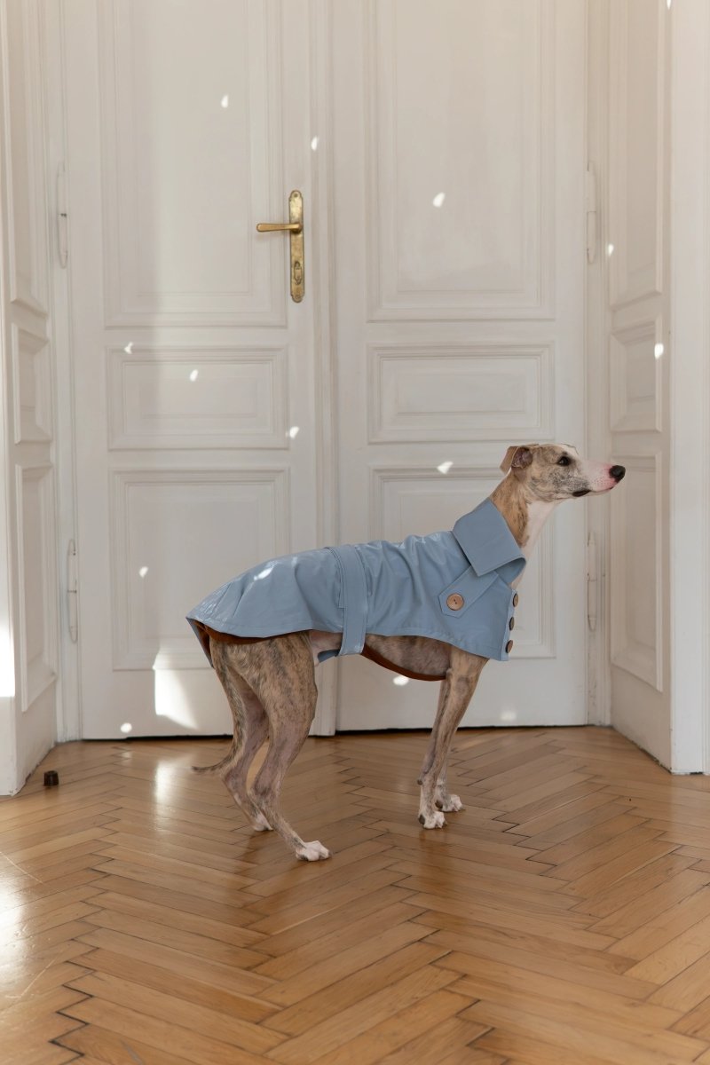all dogs products all cats products all small animal products