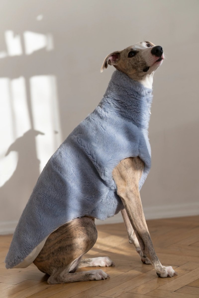 all dogs products all cats products all small animal products