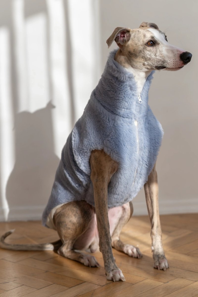 all dogs products all cats products all small animal products
