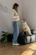 all dogs products all cats products all small animal products