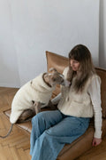 all dogs products all cats products all small animal products