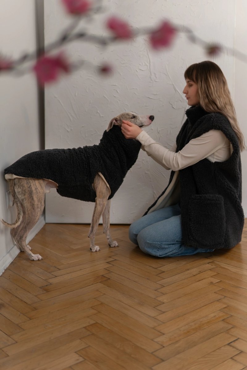 all dogs products all cats products all small animal products