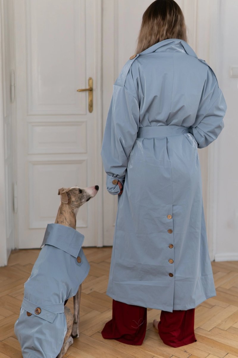 all dogs products all cats products all small animal products