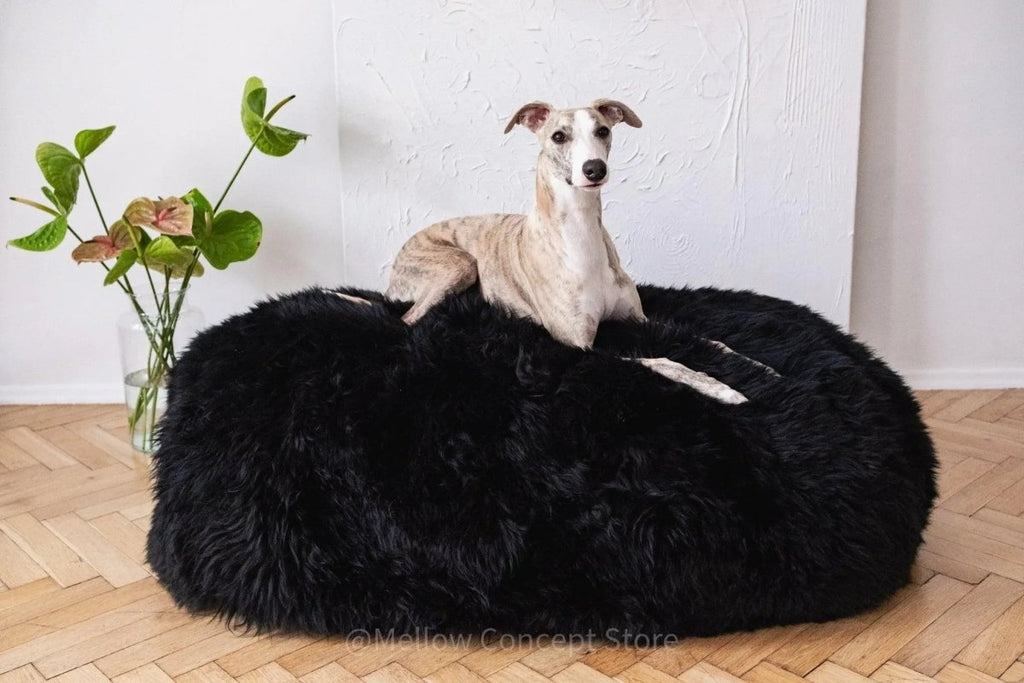 all dogs products all cats products all small animal products