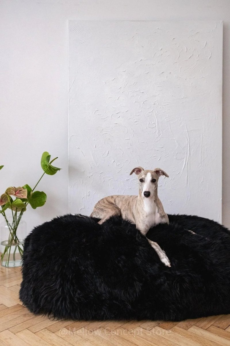 all dogs products all cats products all small animal products