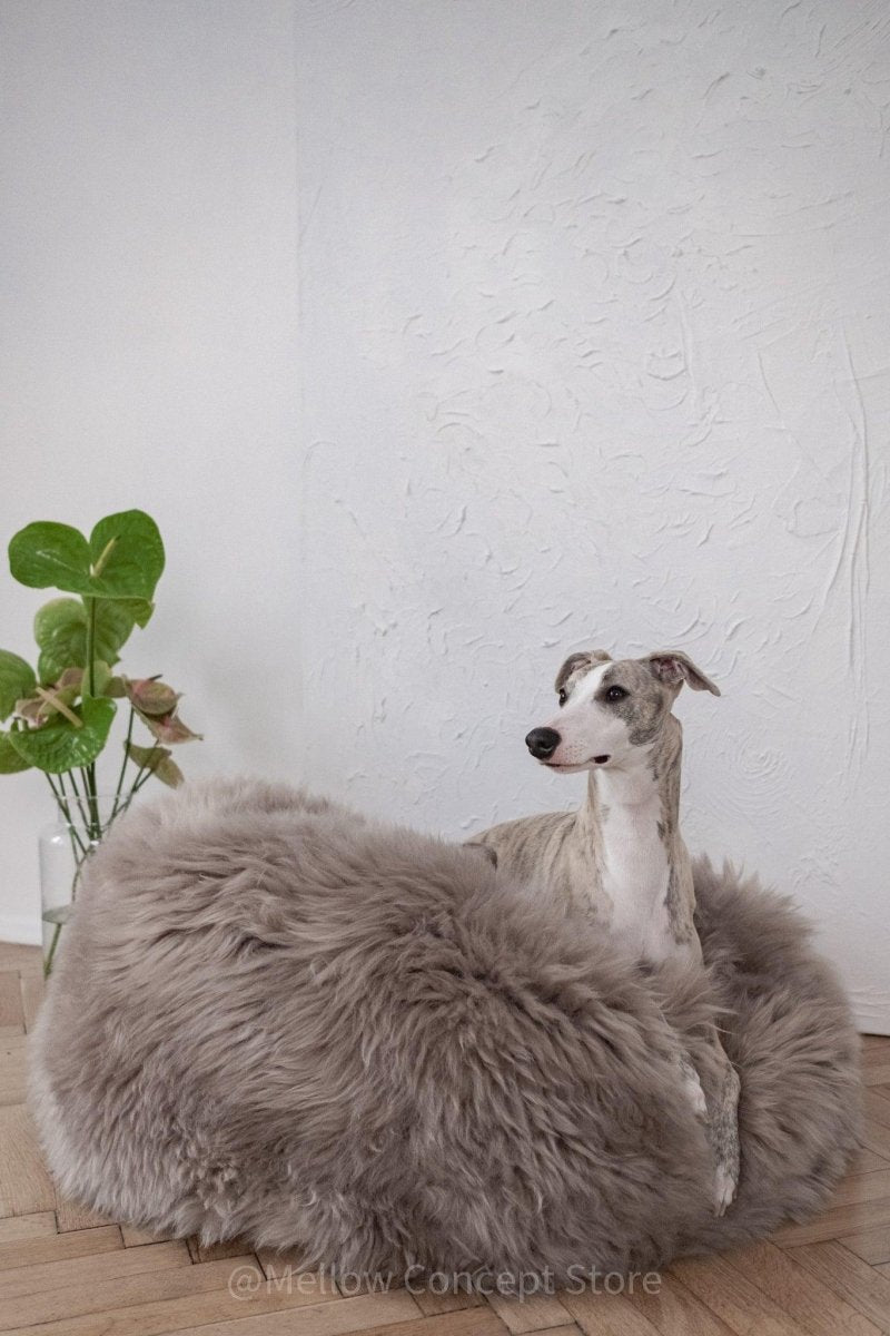 all dogs products all cats products all small animal products