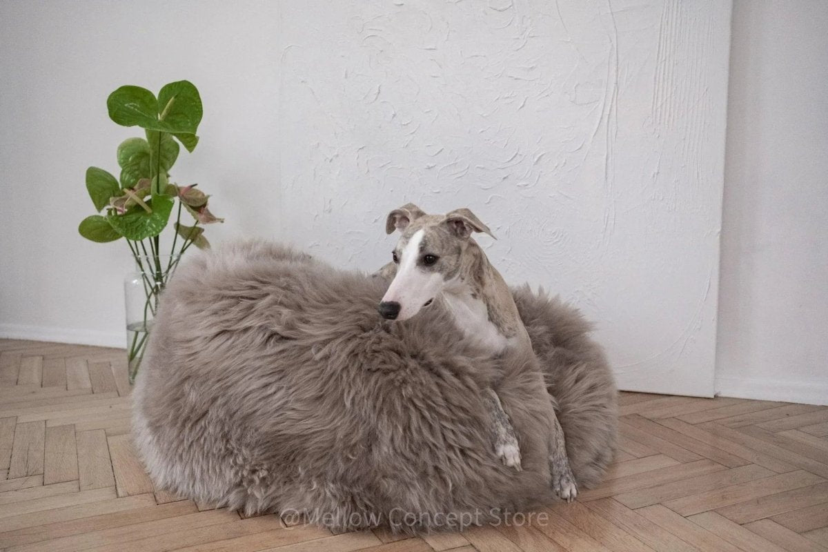 all dogs products all cats products all small animal products