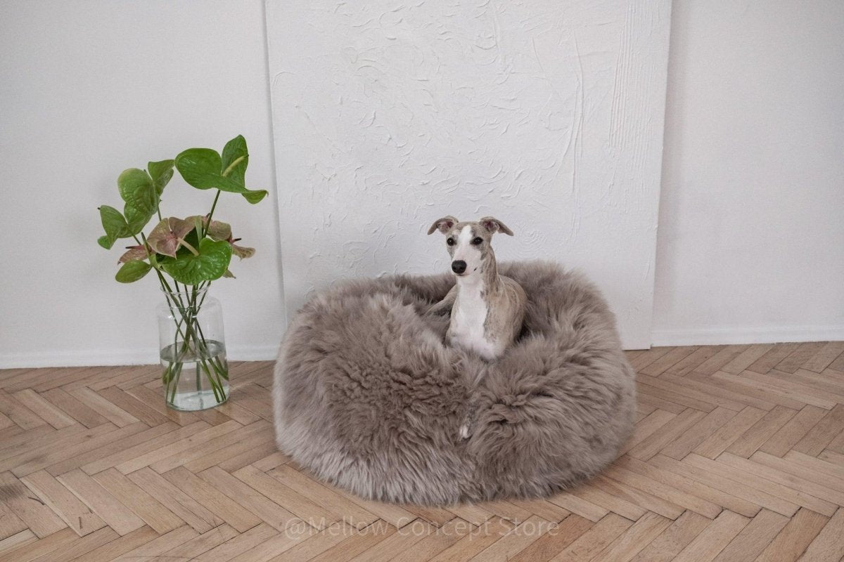 all dogs products all cats products all small animal products