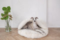 all dogs products all cats products all small animal products