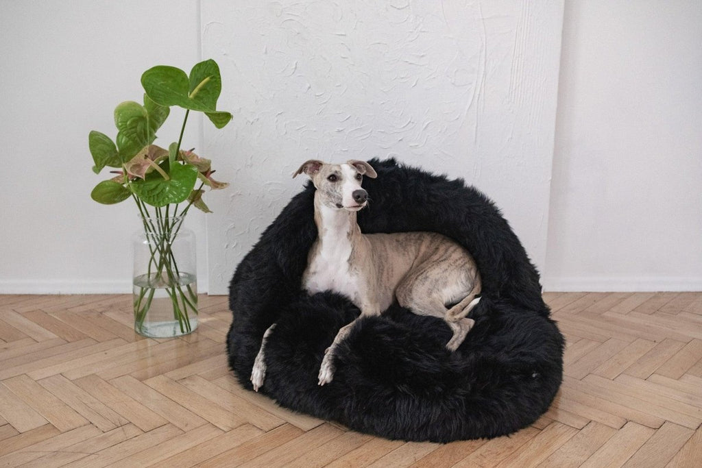 all dogs products all cats products all small animal products