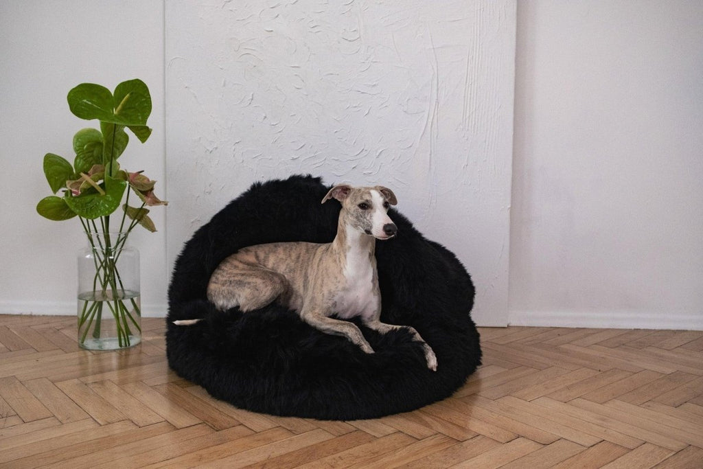 all dogs products all cats products all small animal products