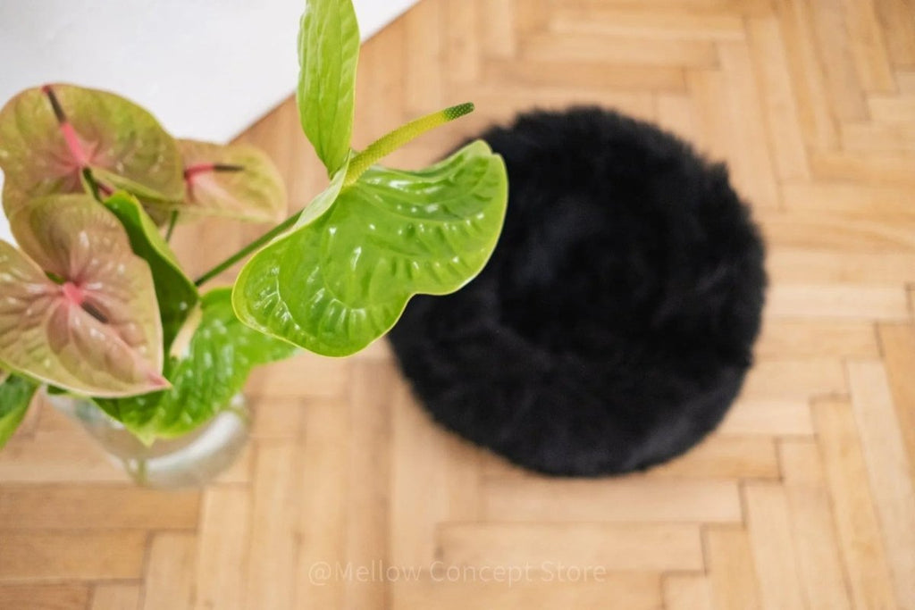 all dogs products all cats products all small animal products