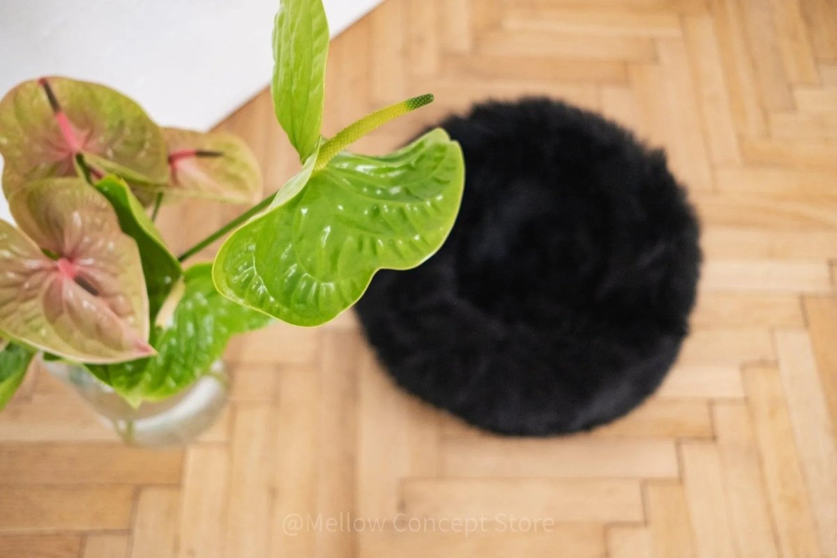 all dogs products all cats products all small animal products
