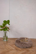 all dogs products all cats products all small animal products