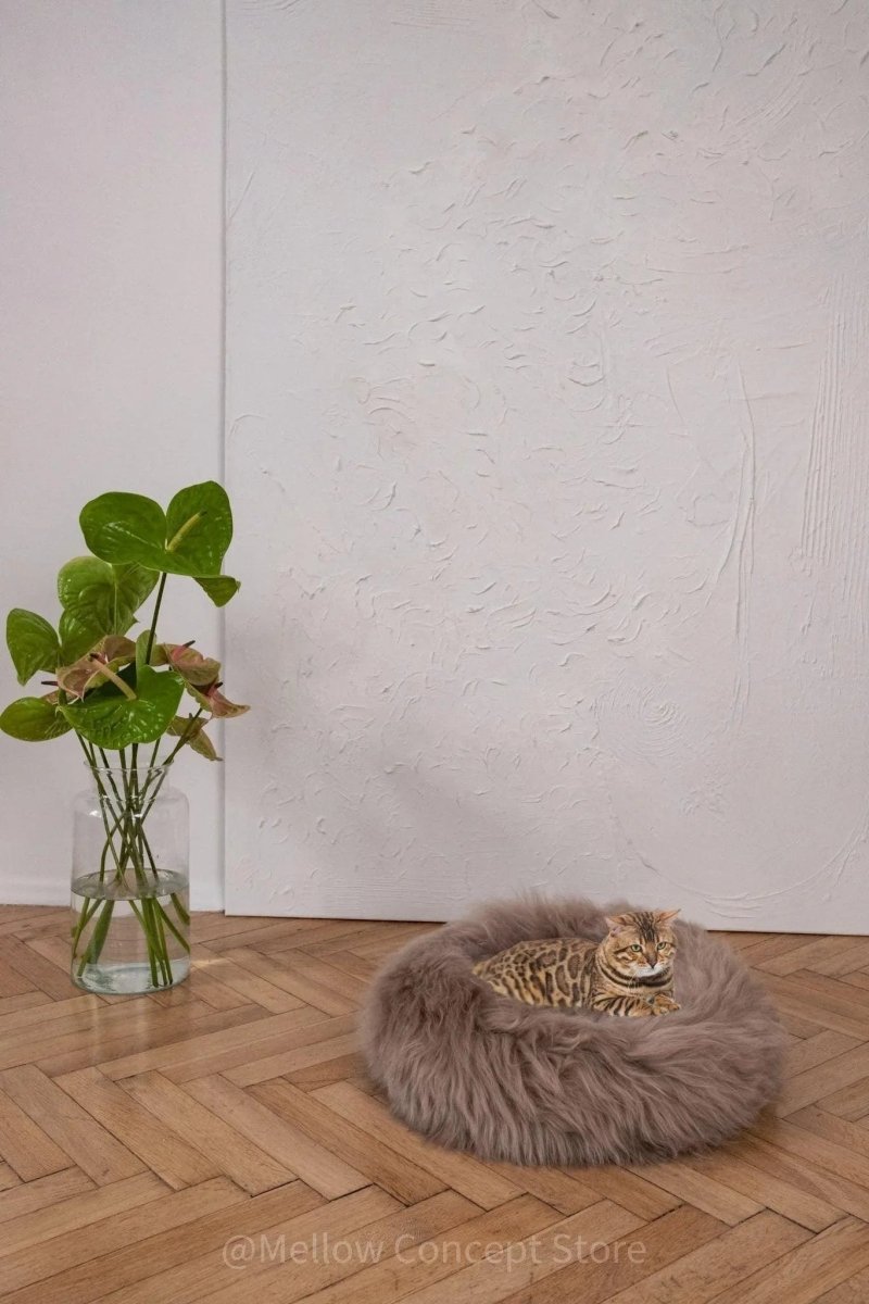 all dogs products all cats products all small animal products