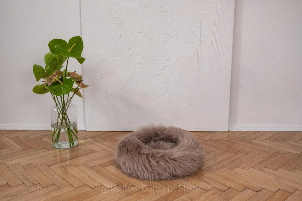 all dogs products all cats products all small animal products