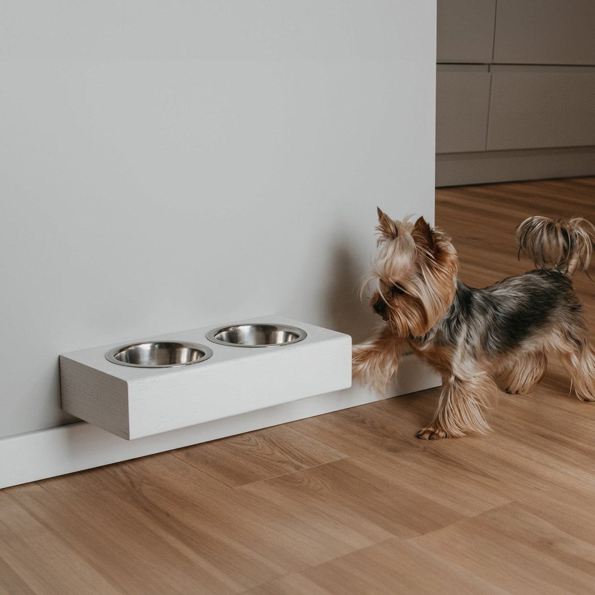 all dogs products all cats products all small animal products
