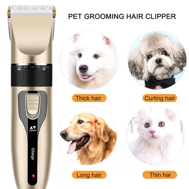 all dogs products all cats products all small animal products