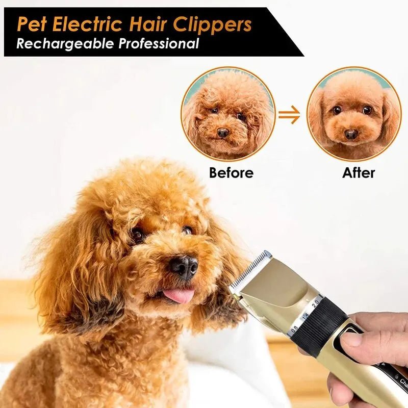 all dogs products all cats products all small animal products