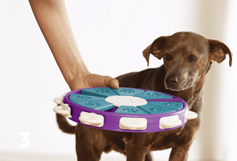 all dogs products all cats products all small animal products