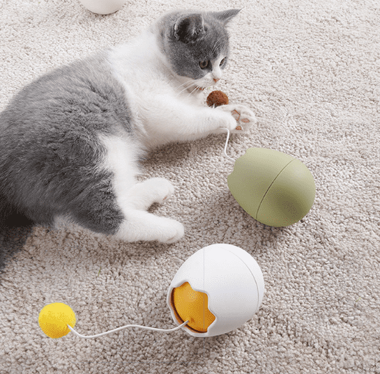 all dogs products all cats products all small animal products