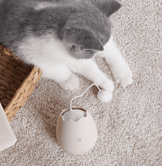 all dogs products all cats products all small animal products