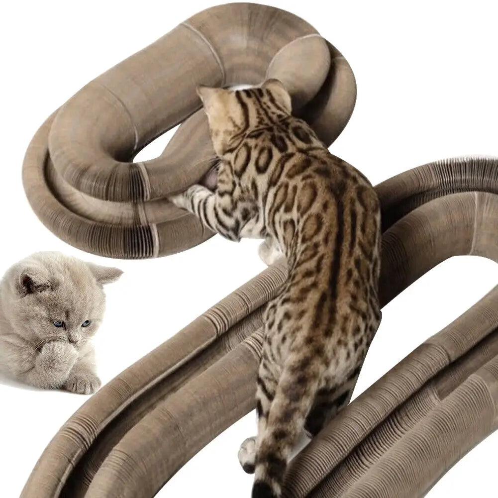 Foldable Cat Scratching Board & Play Bed