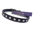 all dogs products all cats products all small animal products