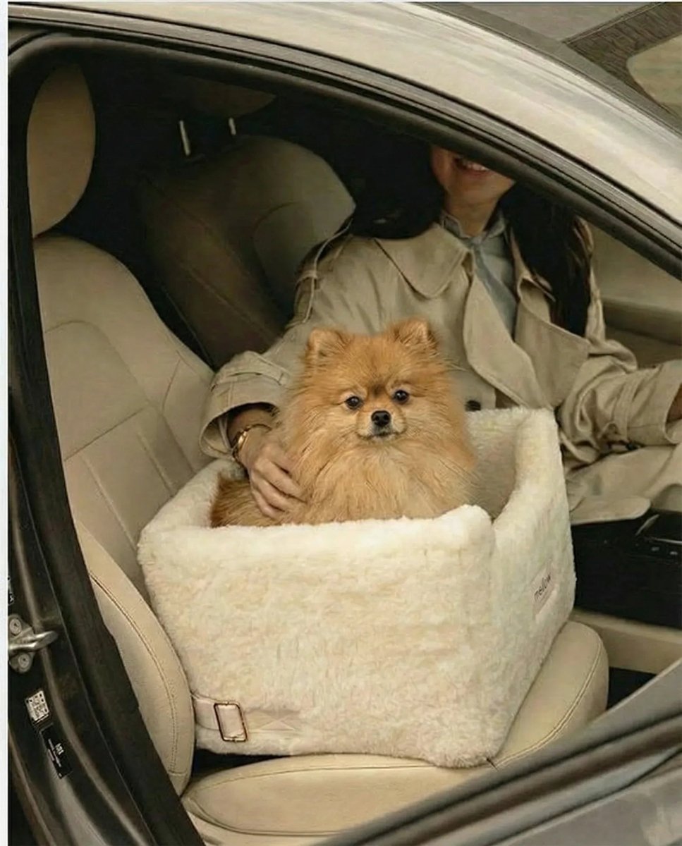 all dogs products all cats products all small animal products