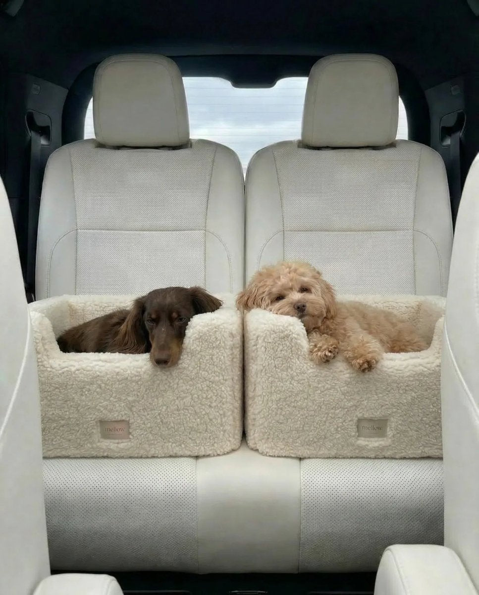 all dogs products all cats products all small animal products