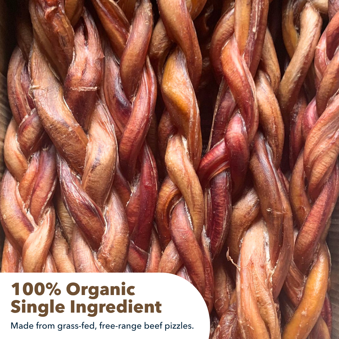 12" Gigantic Braided Bully Sticks