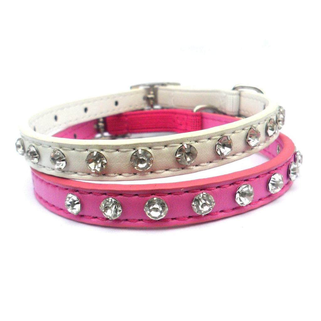 all dogs products all cats products all small animal products