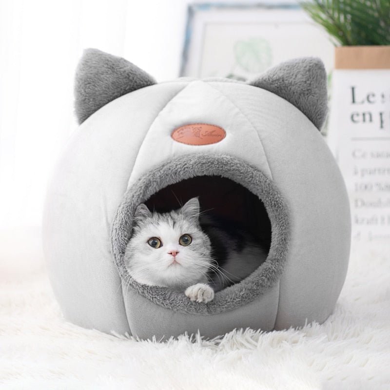 all dogs products all cats products all small animal products