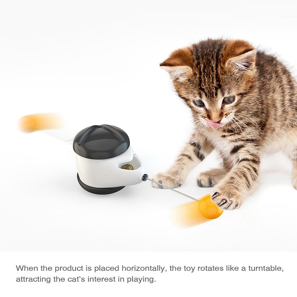 all dogs products all cats products all small animal products