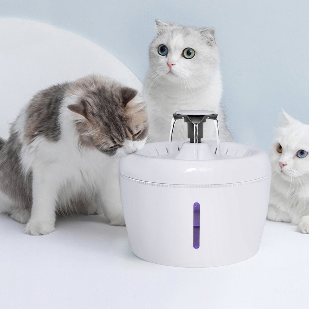 all dogs products all cats products all small animal products