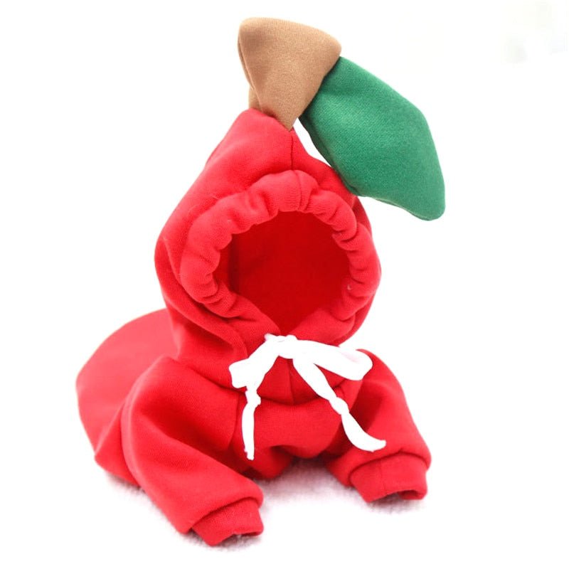 all dogs products all cats products all small animal products