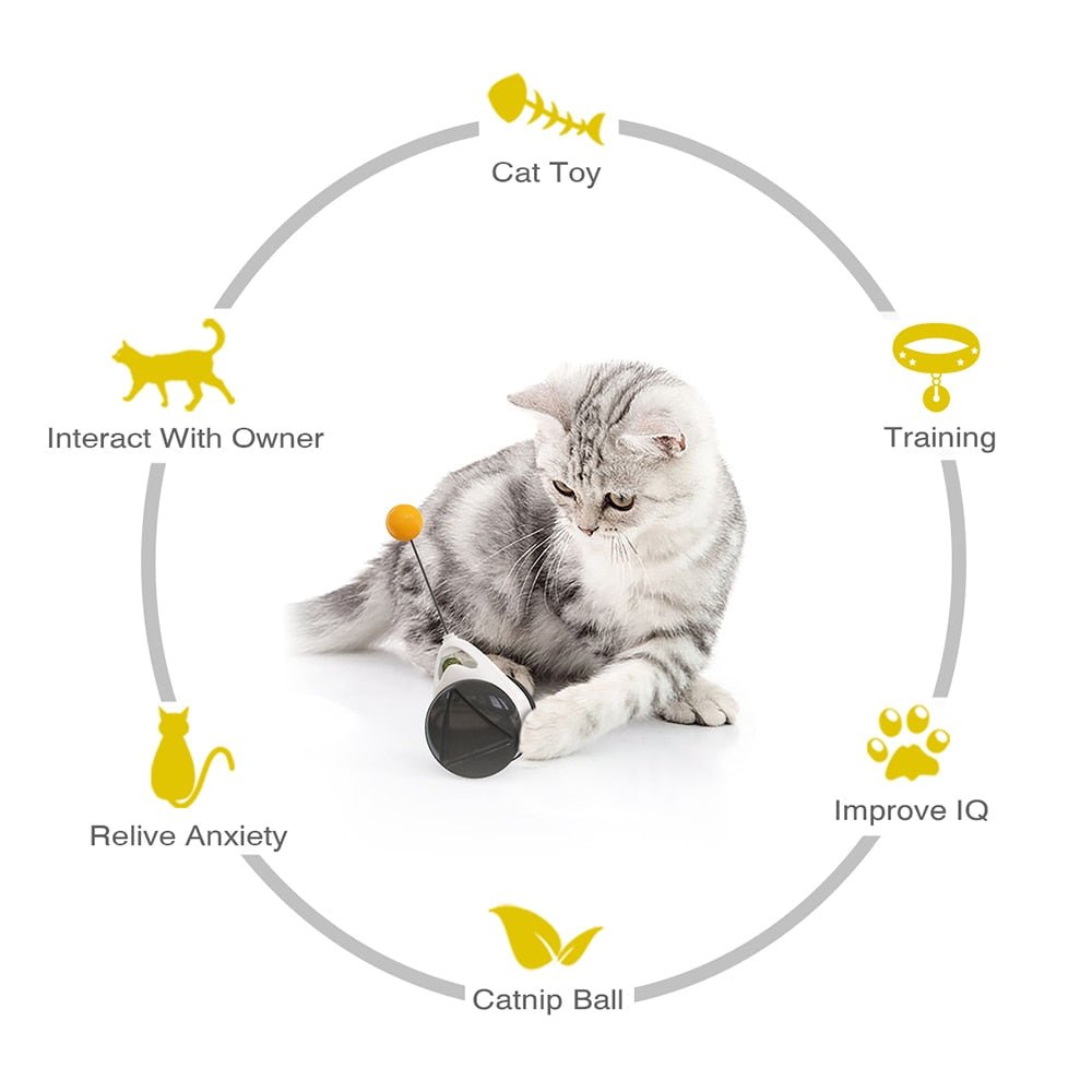 all dogs products all cats products all small animal products