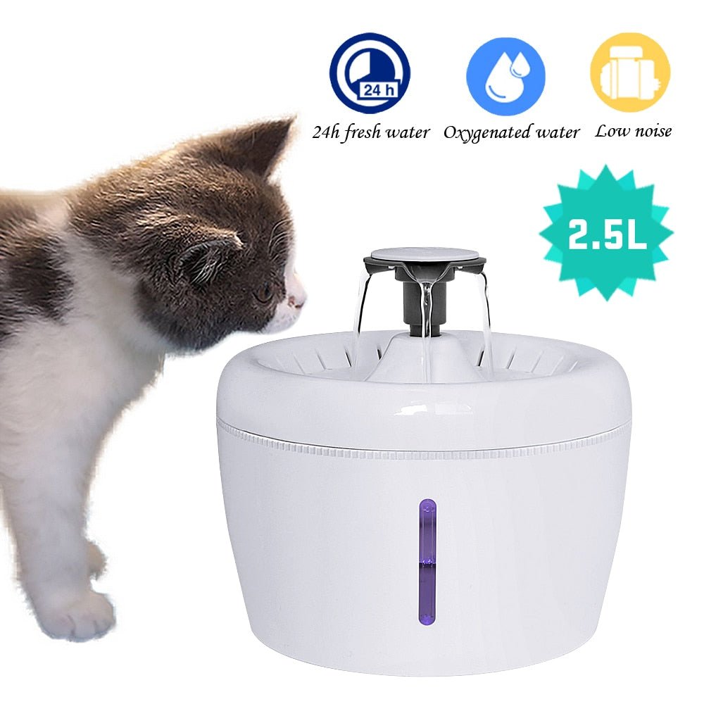 all dogs products all cats products all small animal products