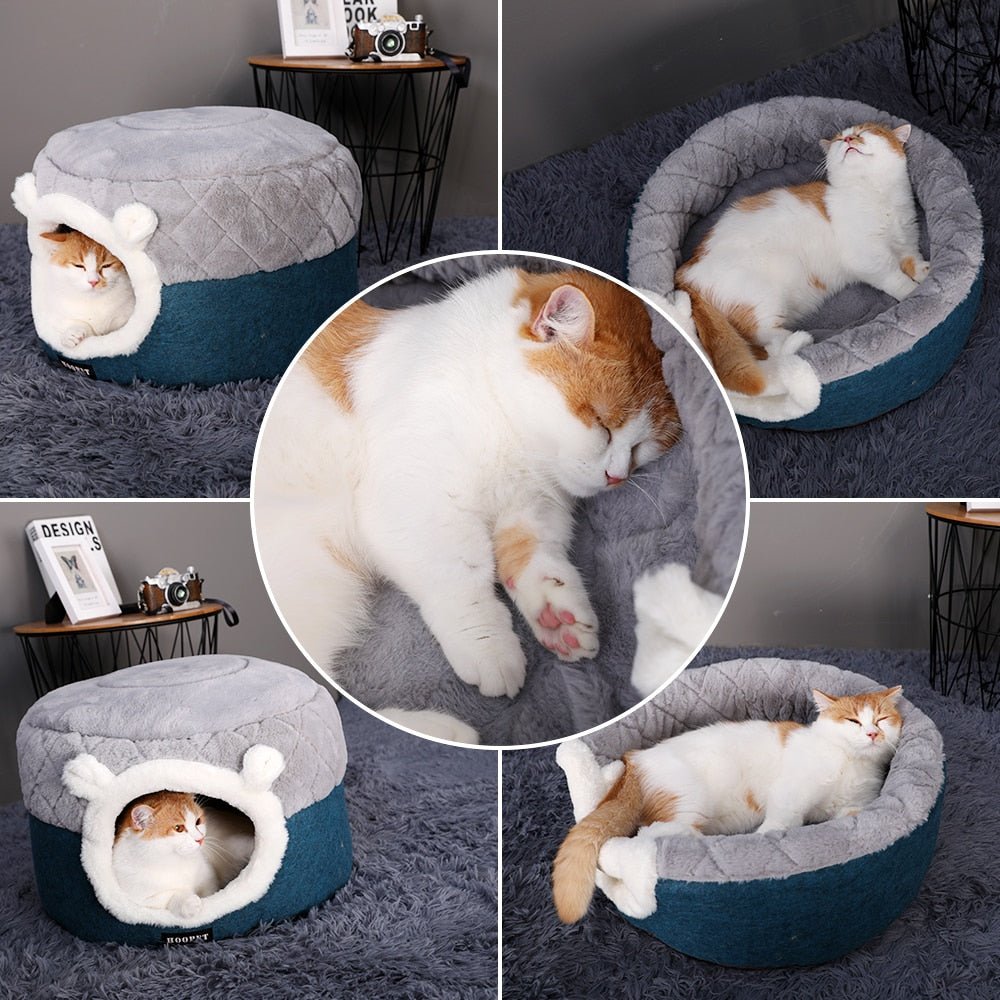 all dogs products all cats products all small animal products