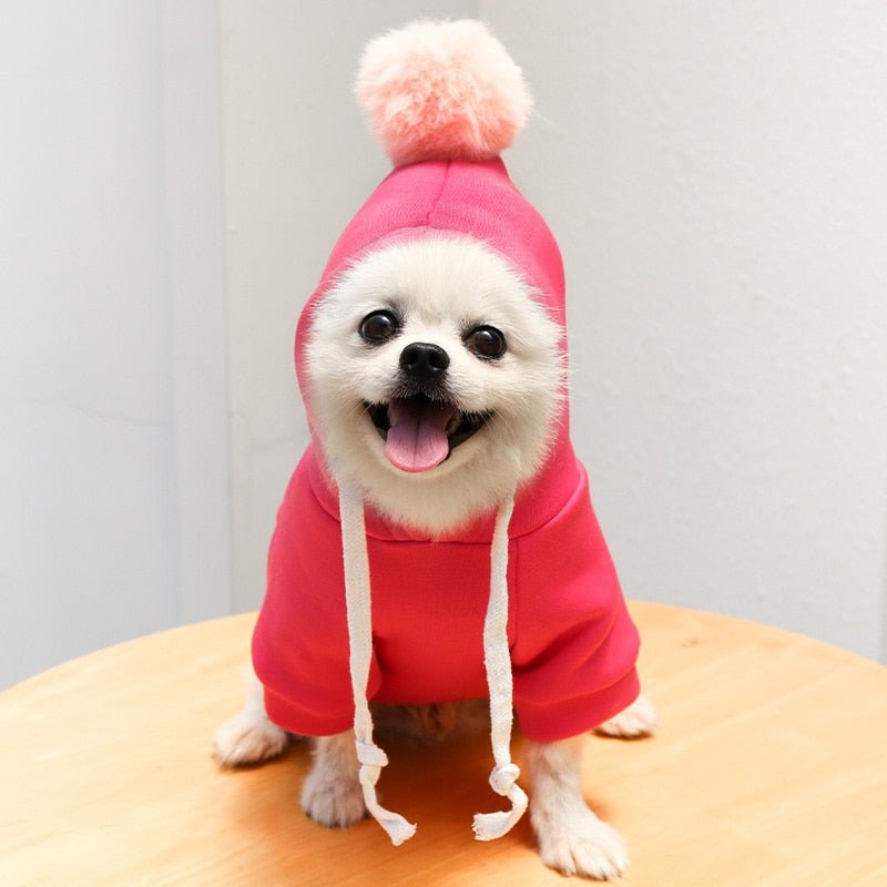all dogs products all cats products all small animal products