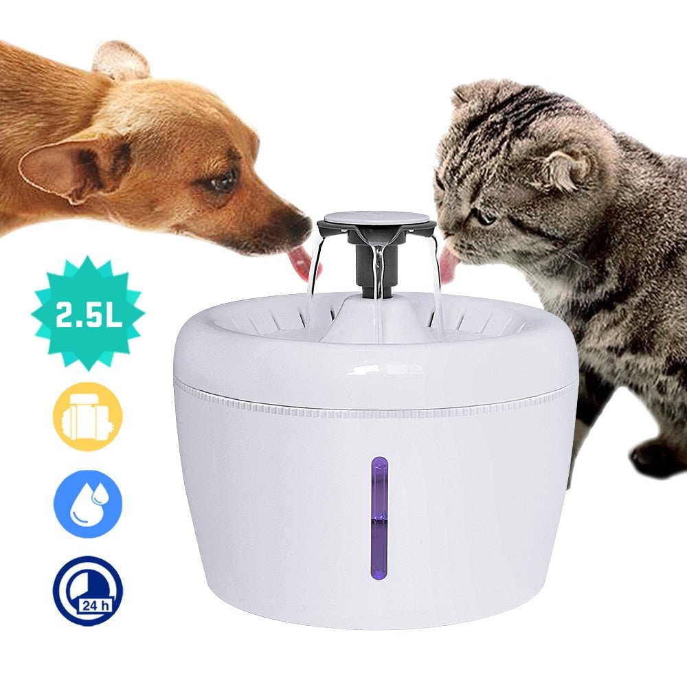 all dogs products all cats products all small animal products